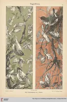 Picture 13 of 19 from Dekorative Vorbilder: farbige Meisterwerke aus alter und neuer Zeit — 15.1904 (1904), leaf 49