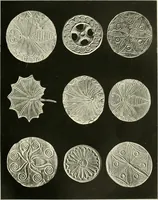 An illustration from Dekorative skvlptvr: figvr, ornament, architektvrplastik avs den havptepochen der kvnst (1910)