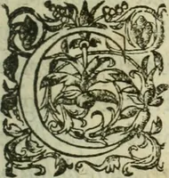 An illustration from De la demonomanie des sorciers (1580)