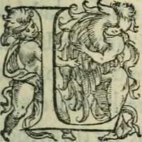 An illustration from De la demonomanie des sorciers (1580)