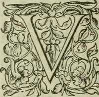 An illustration from De la demonomanie des sorciers (1580)
