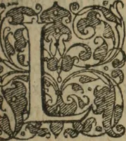 An illustration from De la démonomanie des sorciers (1593)