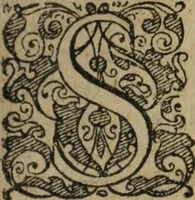 An illustration from De la démonomanie des sorciers (1593)