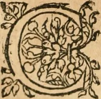 An illustration from De la démonomanie des sorciers .. (1587)