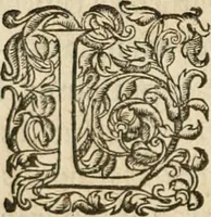 An illustration from De la démonomanie des sorciers .. (1587)