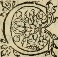 An illustration from De la démonomanie des sorciers .. (1587)