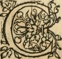 An illustration from De la démonomanie des sorciers .. (1587)