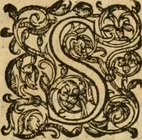 An illustration from De la démonomanie des sorciers .. (1587)