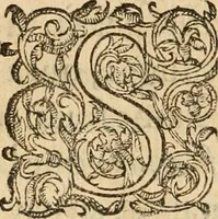 An illustration from De la démonomanie des sorciers .. (1587)