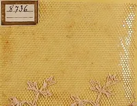 Picture 165 of 193 from Sample book of French embroidery, 1850? (1850), leaf 123