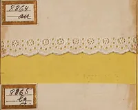 An illustration from Sample book of French embroidery, 1850? (1850)