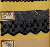 An illustration from Sample book of French embroidery, 1850? (1850)
