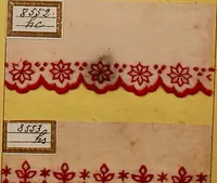 An illustration from Sample book of French embroidery, 1850? (1850)