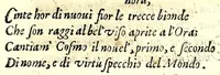 An illustration from De la glorie d'Evropa : al sereniss. Don. Cosimo Medici, principe di Toscana : parte prima [-seconda], scritte e dedicate ne le reali nozze sue, e de la serenissima sua sposa l'arciduchessa Maria Maddalena d'Avstria, principessa di Toscana (1608)