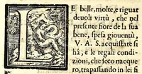 An illustration from De la glorie d'Evropa : al sereniss. Don. Cosimo Medici, principe di Toscana : parte prima [-seconda], scritte e dedicate ne le reali nozze sue, e de la serenissima sua sposa l'arciduchessa Maria Maddalena d'Avstria, principessa di Toscana (1608)