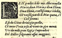 An illustration from De la glorie d'Evropa : al sereniss. Don. Cosimo Medici, principe di Toscana : parte prima [-seconda], scritte e dedicate ne le reali nozze sue, e de la serenissima sua sposa l'arciduchessa Maria Maddalena d'Avstria, principessa di Toscana (1608)