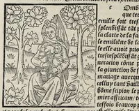 Picture 14 of 34 from De la louenge et vertu des nobles et cleres dames : de Jehan bocasse ; [traslate & iprime nouellemet a paris], leaf 202