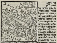 Picture 21 of 34 from De la louenge et vertu des nobles et cleres dames : de Jehan bocasse ; [traslate & iprime nouellemet a paris], leaf 217