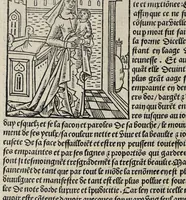 An illustration from De la louenge et vertu des nobles et cleres dames : de Jehan bocasse ; [traslate & iprime nouellemet a paris]