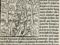 Picture 31 of 34 from De la louenge et vertu des nobles et cleres dames : de Jehan bocasse ; [traslate & iprime nouellemet a paris], leaf 273