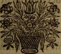 An illustration from De la nature et des causes de la fievre : avec quelques experiences sur le quinquina, & des reflexions sur l'action de ce remede (1684)