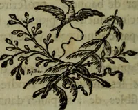 An illustration from De la philosophie corpusculaire, ou, Des connoissances et des procédés magnétiques chez les divers peuples (1785)