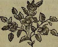 An illustration from De la philosophie corpusculaire, ou, Des connoissances et des procédés magnétiques chez les divers peuples (1785)