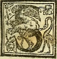 An illustration from De la pirotechnia : Libri X. doue ampiamente si tratta non solo di ogni sorte & diuersita di miniere, ma anchora quanto si ricerca intorno à la prattica di quelle cose di quel che si appartiene à l'arte de la fusione ouer gitto de metalli come d'ogni altra cosa simile à questa (1540)