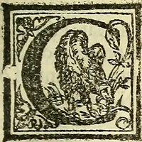 An illustration from De la pirotechnia : Libri X. doue ampiamente si tratta non solo di ogni sorte & diuersita di miniere, ma anchora quanto si ricerca intorno à la prattica di quelle cose di quel che si appartiene à l'arte de la fusione ouer gitto de metalli come d'ogni altra cosa simile à questa (1540)