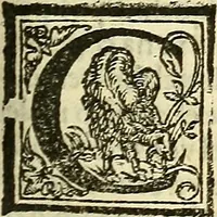 An illustration from De la pirotechnia : Libri X. doue ampiamente si tratta non solo di ogni sorte & diuersita di miniere, ma anchora quanto si ricerca intorno à la prattica di quelle cose di quel che si appartiene à l'arte de la fusione ouer gitto de metalli come d'ogni altra cosa simile à questa (1540)