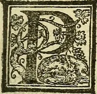 An illustration from De la pirotechnia : Libri X. doue ampiamente si tratta non solo di ogni sorte & diuersita di miniere, ma anchora quanto si ricerca intorno à la prattica di quelle cose di quel che si appartiene à l'arte de la fusione ouer gitto de metalli come d'ogni altra cosa simile à questa (1540)