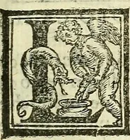An illustration from De la pirotechnia : Libri X. doue ampiamente si tratta non solo di ogni sorte & diuersita di miniere, ma anchora quanto si ricerca intorno à la prattica di quelle cose di quel che si appartiene à l'arte de la fusione ouer gitto de metalli come d'ogni altra cosa simile à questa (1540)