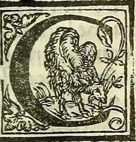 An illustration from De la pirotechnia : Libri X. doue ampiamente si tratta non solo di ogni sorte & diuersita di miniere, ma anchora quanto si ricerca intorno à la prattica di quelle cose di quel che si appartiene à l'arte de la fusione ouer gitto de metalli come d'ogni altra cosa simile à questa (1540)