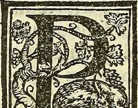 An illustration from De la pirotechnia : Libri X. doue ampiamente si tratta non solo di ogni sorte & diuersita di miniere, ma anchora quanto si ricerca intorno à la prattica di quelle cose di quel che si appartiene à l'arte de la fusione ouer gitto de metalli come d'ogni altra cosa simile à questa (1540)