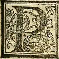 An illustration from De la pirotechnia : Libri X. doue ampiamente si tratta non solo di ogni sorte & diuersita di miniere, ma anchora quanto si ricerca intorno à la prattica di quelle cose di quel che si appartiene à l'arte de la fusione ouer gitto de metalli come d'ogni altra cosa simile à questa (1540)