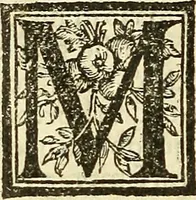 An illustration from De la pirotechnia : Libri X. doue ampiamente si tratta non solo di ogni sorte & diuersita di miniere, ma anchora quanto si ricerca intorno à la prattica di quelle cose di quel che si appartiene à l'arte de la fusione ouer gitto de metalli come d'ogni altra cosa simile à questa (1540)