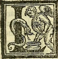 An illustration from De la pirotechnia : Libri X. doue ampiamente si tratta non solo di ogni sorte & diuersita di miniere, ma anchora quanto si ricerca intorno à la prattica di quelle cose di quel che si appartiene à l'arte de la fusione ouer gitto de metalli come d'ogni altra cosa simile à questa (1540)