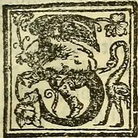An illustration from De la pirotechnia : Libri X. doue ampiamente si tratta non solo di ogni sorte & diuersita di miniere, ma anchora quanto si ricerca intorno à la prattica di quelle cose di quel che si appartiene à l'arte de la fusione ouer gitto de metalli come d'ogni altra cosa simile à questa (1540)