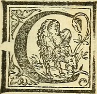 An illustration from De la pirotechnia : Libri X. doue ampiamente si tratta non solo di ogni sorte & diuersita di miniere, ma anchora quanto si ricerca intorno à la prattica di quelle cose di quel che si appartiene à l'arte de la fusione ouer gitto de metalli come d'ogni altra cosa simile à questa (1540)