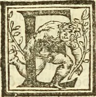 An illustration from De la pirotechnia : Libri X. doue ampiamente si tratta non solo di ogni sorte & diuersita di miniere, ma anchora quanto si ricerca intorno à la prattica di quelle cose di quel che si appartiene à l'arte de la fusione ouer gitto de metalli come d'ogni altra cosa simile à questa (1540)