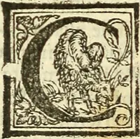 An illustration from De la pirotechnia : Libri X. doue ampiamente si tratta non solo di ogni sorte & diuersita di miniere, ma anchora quanto si ricerca intorno à la prattica di quelle cose di quel che si appartiene à l'arte de la fusione ouer gitto de metalli come d'ogni altra cosa simile à questa (1540)