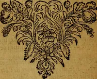 An illustration from De la recherche de la verité : où L'on traitte de la nature de l'esprit de l'homme, & de l'usage qu'il en doit faire pour éviter l'erreur dans les sciences (1688)