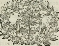 Picture 14 of 146 from De l'art des devises (1666), leaf 184