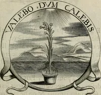 Picture 56 of 146 from De l'art des devises (1666), leaf 362