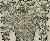 Picture 7 of 146 from De l'art des devises (1666), leaf 45