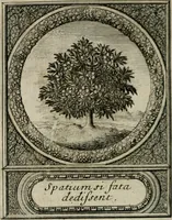 Picture 114 of 146 from De l'art des devises (1666), leaf 527