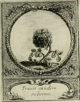 Picture 115 of 146 from De l'art des devises (1666), leaf 528