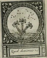 Picture 124 of 146 from De l'art des devises (1666), leaf 537