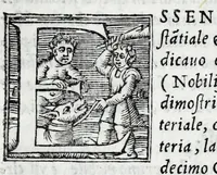 An illustration from De la sfera del mondo. Libri qvattro in lingva toscana: iqvali non per via di traduttione, nè à qual si voglia particolare scrittore obligati: ma parte da i migliori raccogliendo; e parte di nuouo producendo; contengano in se tutto quel ch'intorno à tal materia si possa desiderare; ridotti à tãta ageuolezza, & à cosi facil modo di dimostrare che qual si voglia poco essercitato negli studij di matemmatica potrà ageuolissimamente & con prestezza intenderne il tutto. De le stelle fisse. Libro vno con le sve figvre, e con le sve tauole: doue cõ marauigliosa ageuolezza potrà ciascheduno conoscere qualunque stella dele XLVIII immagini del cielo stellato, e le fauole loro integramente: & sapere in ogni tempo del'anno, à qual si voglia hora di notte, in che parte del cielo si truovino, non solo le dette immagini, ma qualunq[ue] stella di quelle (1540)