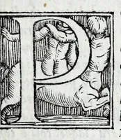 An illustration from De la sfera del mondo. Libri qvattro in lingva toscana: iqvali non per via di traduttione, nè à qual si voglia particolare scrittore obligati: ma parte da i migliori raccogliendo; e parte di nuouo producendo; contengano in se tutto quel ch'intorno à tal materia si possa desiderare; ridotti à tãta ageuolezza, & à cosi facil modo di dimostrare che qual si voglia poco essercitato negli studij di matemmatica potrà ageuolissimamente & con prestezza intenderne il tutto. De le stelle fisse. Libro vno con le sve figvre, e con le sve tauole: doue cõ marauigliosa ageuolezza potrà ciascheduno conoscere qualunque stella dele XLVIII immagini del cielo stellato, e le fauole loro integramente: & sapere in ogni tempo del'anno, à qual si voglia hora di notte, in che parte del cielo si truovino, non solo le dette immagini, ma qualunq[ue] stella di quelle (1540)
